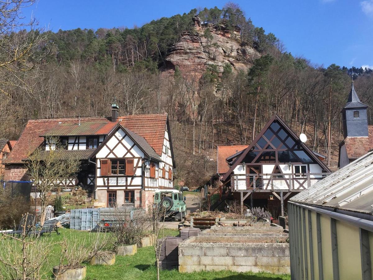 Gite Des Chateaux-Forts Obersteinbach Zewnętrze zdjęcie
